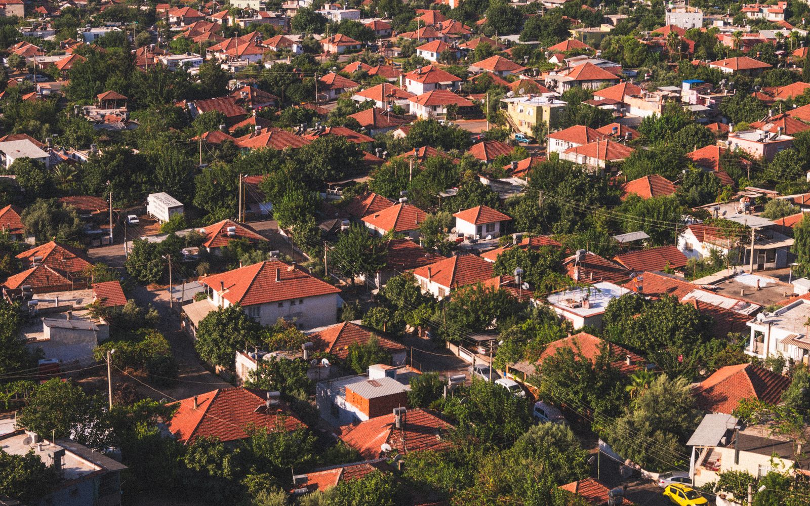 Mature tree-lined street with patio homes in Miramont