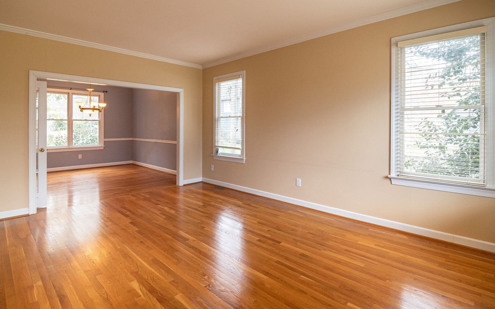 Open agent workspace with desks and listing displays